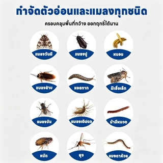 จัดหนักแมลงจากท่อ!ยาฆ่าแมลงในท่อระบายน้ำ น้ำยากำจัดแมลงในท่อ สารกําจัดศัตรูพืชท่อระบายน้ํา 500ml ยาฆ่าในน้ำ
