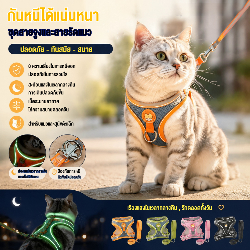 สายจูงแมวพิเศษ สุนัขขนาดเล็ก สายรัดหน้าอกตะกั่ว เดินเชือกเรืองแสง รุ่นมืดกลางคืน