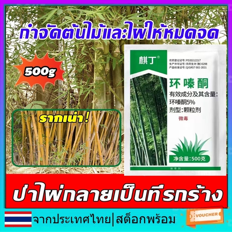 💥100% รากไม้เน่า ยาฆ่าต้นไม้ใหญ 500g ตรงไปที่ราก สร้างมาเพื่อฤดูฝน ยาฆ่าตอไม้ ไม่เป็นอันตรายต่อดิน ยากำจัดต้นไม้ใหญ่
