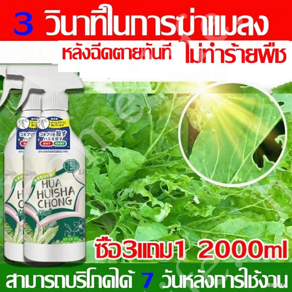 ยาฆ่าแมลงพืช 500มล ฆ่าเพลี้ยได้/หนอนผีเสื้อ/มด/เหาสีชมพู อ่อนโยนไม่เจ็บพืชสเปรย์ง่ายยาฆ่าแมลงเกษตรไม่ไหม้ใบเหมาะสําหรับผักและสวน