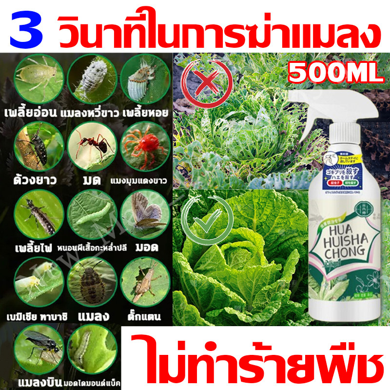 ยาฆ่าแมลงพืชเข้มข้น500มล-สามารถฆ่าเพลี้ย/หนอนผีเสื้อ/มด/เหาสีชมพูอ่อนโยนไม่เจ็บพืชสเปรย์ง่ายยาฆ่าแมลงพืชยาฆ่าแมลงยาฆ่าแมลงยาฆ่าแมลงยาฆ่าแมลงยาฆ่าแมลงยาฆ่าแมลงใบใบ