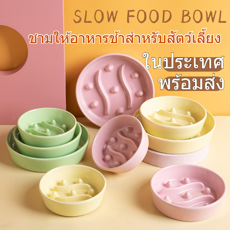 【พร้อมส่งในประเทศ 🔥 ชามเซรามิกอาหารช้าสำหรับสัตว์เลี้ยง】 ชามแมว ชามหมา ป้องกันการสำลักและการหก | เซรามิกอุณหภูมิสูง กันแบคทีเรีย ป้องกันสิวคาง | 3 ขนาด 3 สี