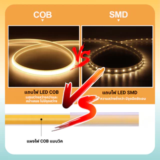 12 V/24 V 5 m/10 m 320 LEDs/m ยืดหยุ่น COB LED Strip Light ตกแต่งบ้านไฟรถ 3000 K 4000 K 6500 K LED Light Strip