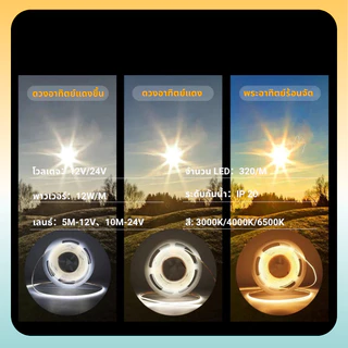 12 V/24 V 5 m/10 m 320 LEDs/m ยืดหยุ่น COB LED Strip Light ตกแต่งบ้านไฟรถ 3000 K 4000 K 6500 K LED Light Strip