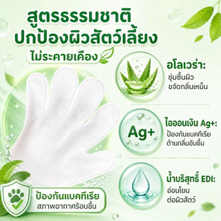 จัดส่งจากท้องถิ่น🚚ถุงมืออาบน้ำสัตว์เลี้ยง No Rinse แมว-สุนัข อาบน้ำแห้งไม่ต้องล้าง สูตรอ่อนโยน ไม่ระคายเคือง กำจัดกลิ่นอับ 6-18ชิ้น