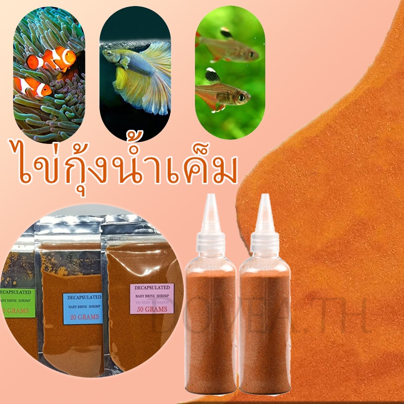 น้ําเกลือไข่กุ้ง, ปลากัด, อาหารปลา, เหมาะสําหรับปลากัดตู้ปลา, กุ้งและหอยกินได้, อาหารปลาทองและอาหารอ่อนนีออน 10/20/50ก ถุง