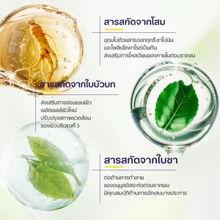 เซรั่มคิ้ว เซรั่มขนตา เซรั่มขนตาหนายาว คิ้วดก ขนตาแข็งแรง ลดขนตาร่วง แก้คิ้วบาง ปลูกง่าย ซึมไว ไม่ระคายเคือง ผิวบอบบาง ใช้ง่าย ทุกเพศ 30g