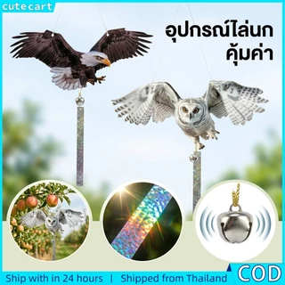 ยาไล่นกพิราบสําหรับระเบียงและคอนโด | ลูกนกปลอม (นกฮูก,อินทรี) | รวมเทปสะท้อนแสงและกระดิ่ง | หุ่นไล่กาห้อยนกเดเตอร์