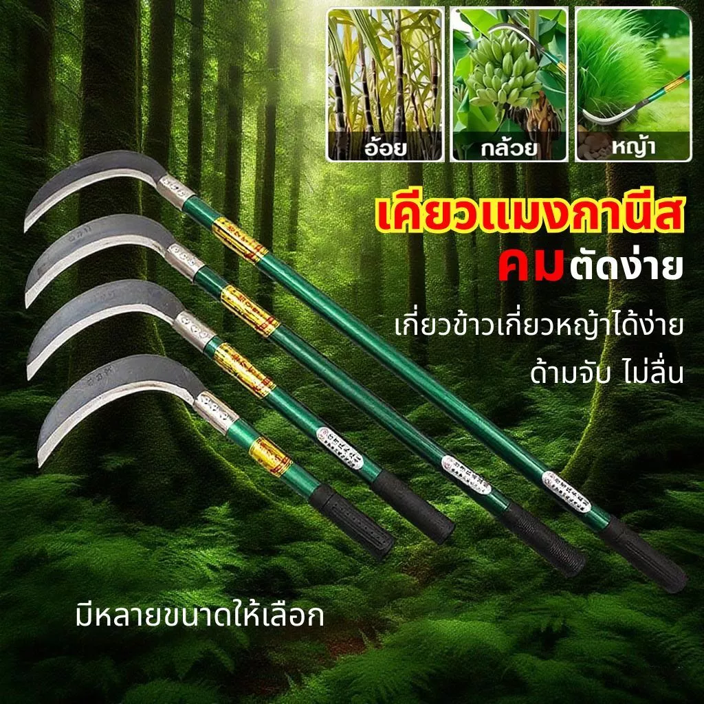 🚚【จัดส่งจากกรุงเทพฯ】🚚เคียวเหล็กแมงกานีส 60/80ซม.ด้ามเขียวงอมาก ใบมีดคมกริบ น้ำหนักเบาสบาย เคียวเกี่ยวข้าว มีดถางหญ้า คียวตัดกิ่งไม้