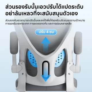 Ergonomic chair เก้าอี้สํานักงานเก้าอี้สุขภาพเก้าอี้ตามหลักสรีรศาสตร์ที่นั่งตาข่ายระบายความร้อนสนับสนุนเอวคงที่พนักพิงศีรษะปรับ 2 ทาง