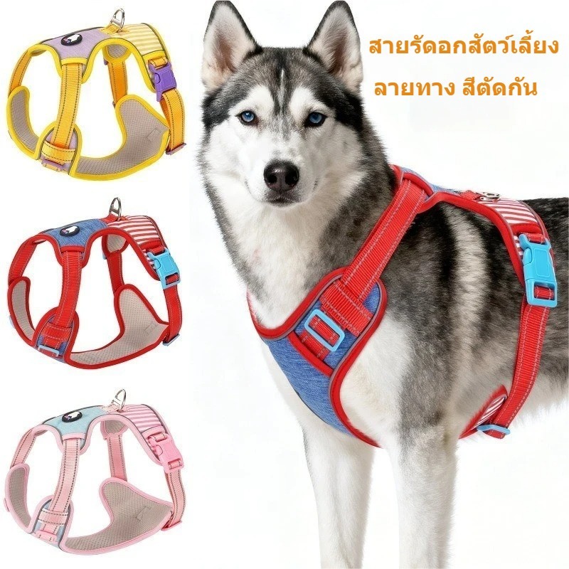 สัตว์เลี้ยงลายคมชัดสีสายรัดหน้าอกเชือกลากป้องกันการแตกหักเสื้อกั๊กสไตล์สายรัดหน้าอกสบายระบายอากาศปรับได้