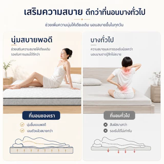 BlueWhite ที่นอนยางพารา รองรับสรีระ ลดแรงกดทับ นุ่มแน่น 3/4/5/6ฟุต ลดอาการปวดหลัง COD