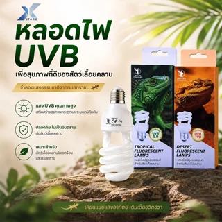 Xstore หลอดไฟสัตว์เลื้อยคลาน แบบเกลียว UVB สูง จำลองแสงแดดธรรมชาติ ประหยัดไฟ
