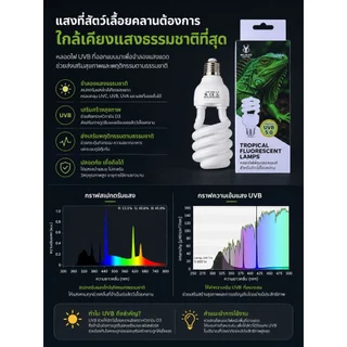 Xstore หลอดไฟสัตว์เลื้อยคลาน แบบเกลียว UVB สูง จำลองแสงแดดธรรมชาติ ประหยัดไฟ