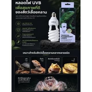 Xstore หลอดไฟสัตว์เลื้อยคลาน แบบเกลียว UVB สูง จำลองแสงแดดธรรมชาติ ประหยัดไฟ