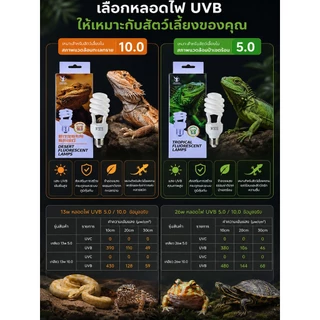 Xstore หลอดไฟสัตว์เลื้อยคลาน แบบเกลียว UVB สูง จำลองแสงแดดธรรมชาติ ประหยัดไฟ