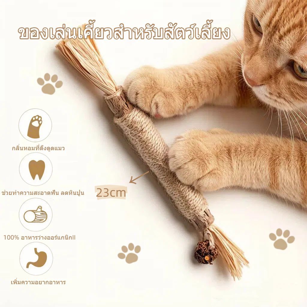 【CAT&DOG】ไม้แมวเมา อันใหญ่ ไม้ขัดฟันแมว มาทาบิ ไม้มาทาทาบิ ของเล่นแมว ลดคราบหินปูน กัญชาแมว ขนาดเหมาะกับแมวมากที่สุด
