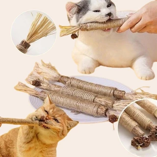 【CAT&DOG】ไม้แมวเมา อันใหญ่ ไม้ขัดฟันแมว มาทาบิ ไม้มาทาทาบิ ของเล่นแมว ลดคราบหินปูน กัญชาแมว ขนาดเหมาะกับแมวมากที่สุด