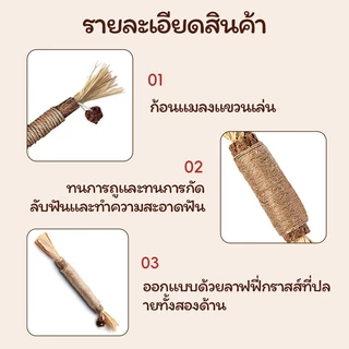 【CAT&DOG】ไม้แมวเมา อันใหญ่ ไม้ขัดฟันแมว มาทาบิ ไม้มาทาทาบิ ของเล่นแมว ลดคราบหินปูน กัญชาแมว ขนาดเหมาะกับแมวมากที่สุด