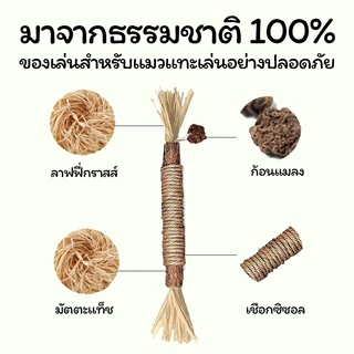 【CAT&DOG】ไม้แมวเมา อันใหญ่ ไม้ขัดฟันแมว มาทาบิ ไม้มาทาทาบิ ของเล่นแมว ลดคราบหินปูน กัญชาแมว ขนาดเหมาะกับแมวมากที่สุด