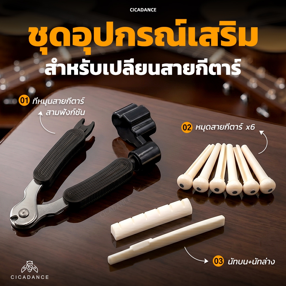 กีตาร์โปร่ง ชุดเปลี่ยนน็อตกีตาร์และหมุดสะพาน: น็อตกระดูกธรรมชาติ + หมุดสะพาน ABS 6x + เครื่องม้วนสาย/คัตเตอร์/ที่ดึงหมุดสะพาน – อุปกรณ์เสริมกีตาร์โปร่ง