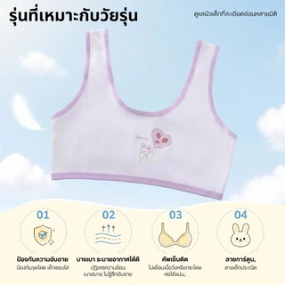 ชุดชั้นในเด็กผู้หญิง 3 ชิ้น ผ้าฝ้ายนุ่ม ไร้รอยต่อ ไม่มีโครงลวด ระบายอากาศดี ใส่สบายทุกวัน สำหรับเด็กอายุ 8-12 ปี