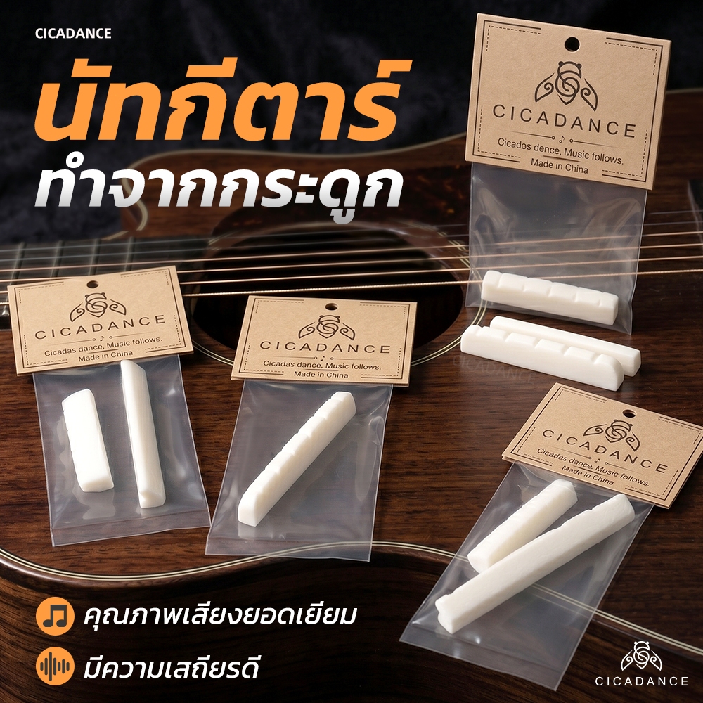 【CICADANCE】Nut Saddle นัทและแซดเดิล กระดูกวัว สำหรับกีตาร์โปร่ง/กีตาร์ไฟฟ้า/กีตาร์คลาสสิก นัท&แซดเดิล