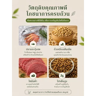 New Life อาหารเต่าคุณภาพสูง เม็ดลอยน้ำ โปรตีนแน่น ช่วยเพิ่มความอยากอาหาร