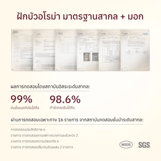 Glowseason หัวฝักบัวอโรมา | น้ำวน | เพิ่มแรงดันน้ำ | ประหยัดน้ำ