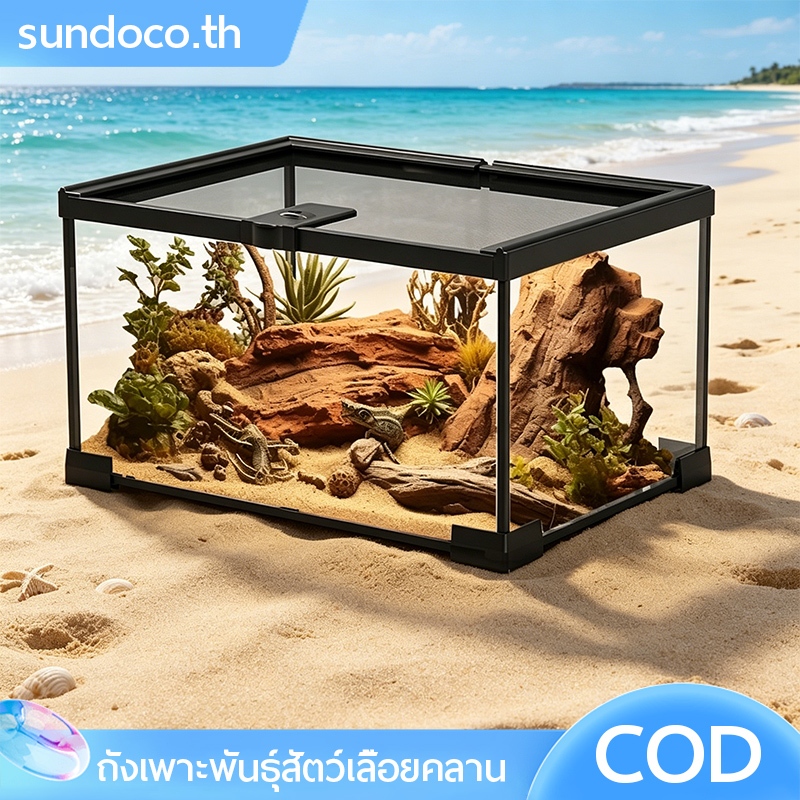 พร้อมสต็อก แก้วสัตว์เลื้อยคลาน สวนขวด – ถังปีนเขาสําหรับเต่างูจิ้งจก, กล่องเพาะพันธุ์สําหรับกบด้วง, ตู้ปลา