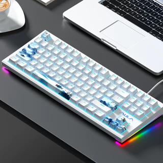 ปุ่มกดคีย์บอร์ด 10 คีย์ PBT OEM Profile สําหรับคีย์บอร์ด Mechanical
