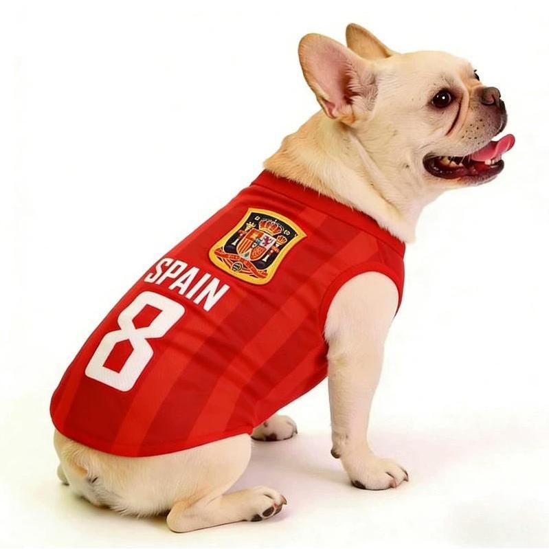 Thumbnail 7