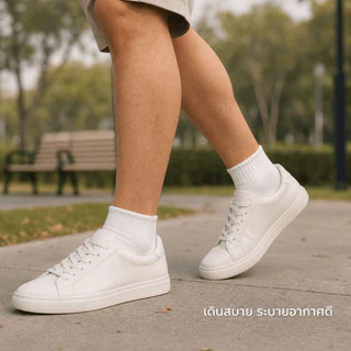 ถุงเท้าทำงานผู้ชาย ข้อกลางคลุมตาตุ่ม 6/12 คู่ สีพื้น ผ้าฝ้ายผสม ระบายอากาศ ช่วยลดกลิ่นอับ ใส่สบาย ฟรีไซส์ พร้อมส่ง