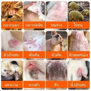PUAINTA Pipot สเปรย์ผิวสําหรับแมวและสุนัขคันบรรเทาผิวหนังอ่อนโยน Lickable Care 100ml