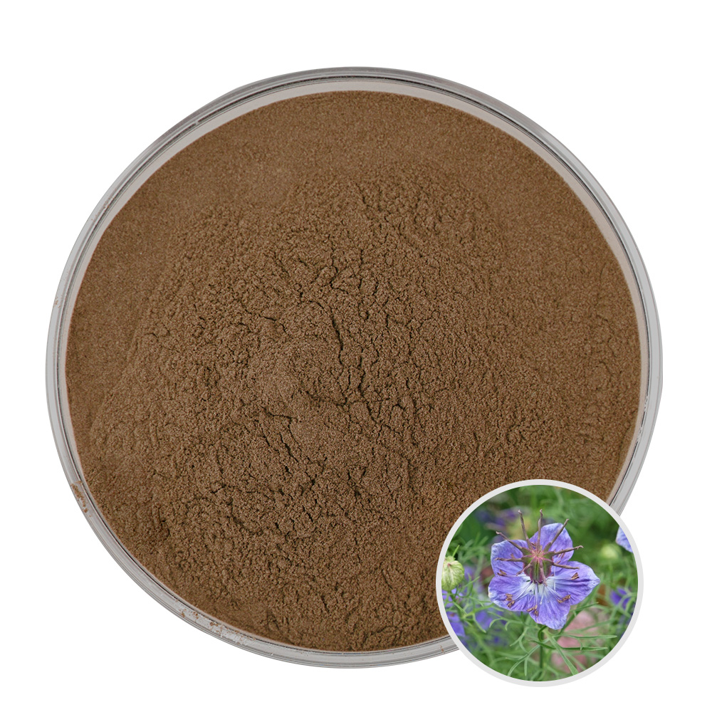 โรงงานจัดหาคุณภาพสูง Nigella Sativa Black Cumin Seed Extract ธรรมชาติ 10:1 ผงสารสกัดยี่หร่าดํา