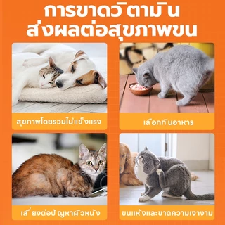 PUAINTA Multivitamin Tablet for Dogs and Cats Pet Hair Loss