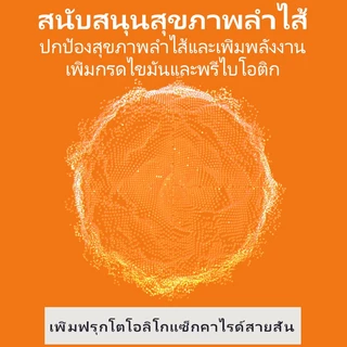 PUAINTA Nutritional Gel สําหรับแมวเสริมภูมิคุ้มกัน Gut Health พัฒนาแก้มอ้วน Cat Nutrition Gel Nutrition Paste อาหารเสริมโภชนาการสัตว์เลี้ยง 120g