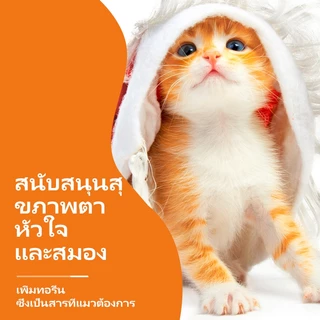 PUAINTA Nutritional Gel สําหรับแมวเสริมภูมิคุ้มกัน Gut Health พัฒนาแก้มอ้วน Cat Nutrition Gel Nutrition Paste อาหารเสริมโภชนาการสัตว์เลี้ยง 120g