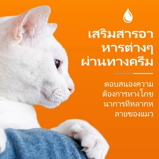 PUAINTA Nutritional Gel สําหรับแมวเสริมภูมิคุ้มกัน Gut Health พัฒนาแก้มอ้วน Cat Nutrition Gel Nutrition Paste อาหารเสริมโภชนาการสัตว์เลี้ยง 120g