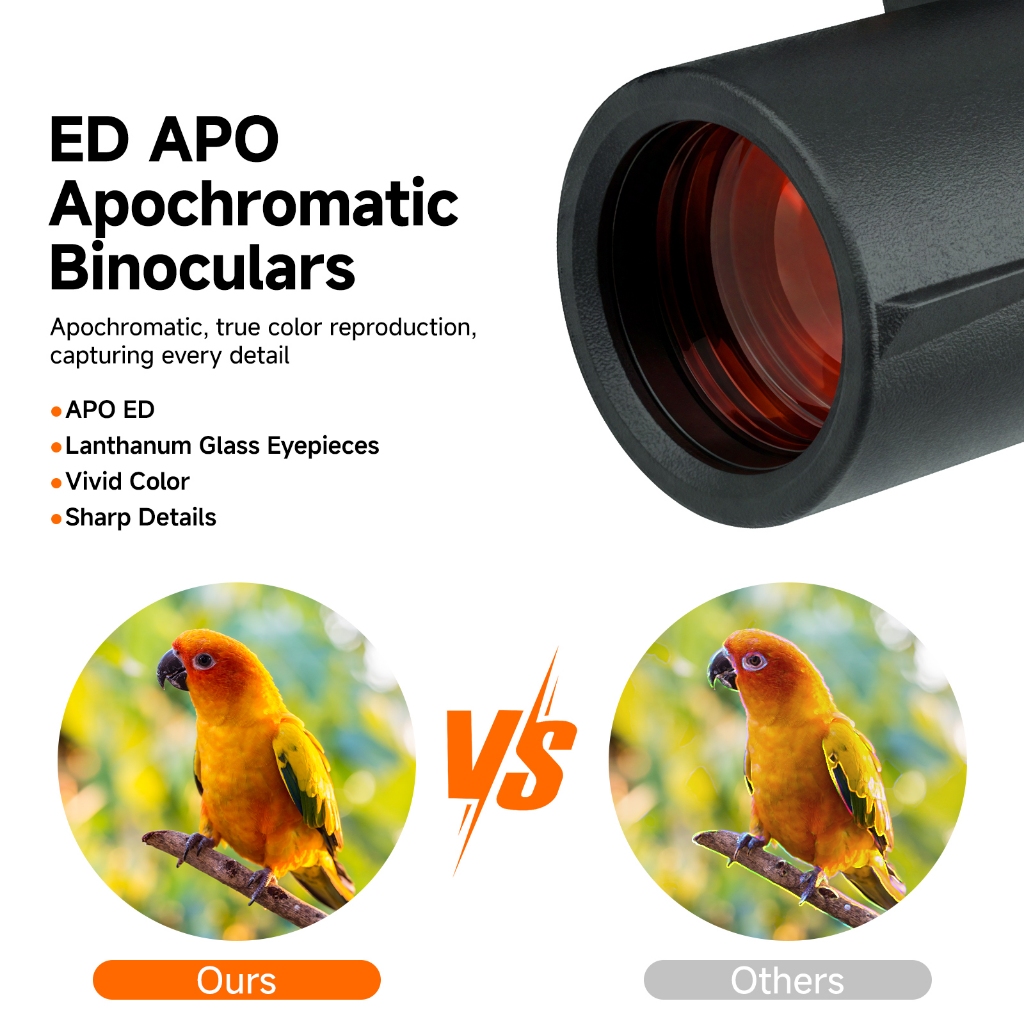 Svbony SA207 8x32 APO Birding กล้องส่องทางไกลไนโตรเจนที่เต็มไปด้วย IPX7 กันน้ํา FBMC สําหรับ Tropical Bird ดูและกลางแจ้ง — صورة 2
