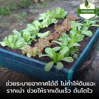 【สินค้าพร้อมส่ง】กระบะปลูกผัก​ ขนาด​ หลากหลายขนาด กะบะเพาะปลูก แปลงผักเพาะปลูก พร้อมโครง PVC