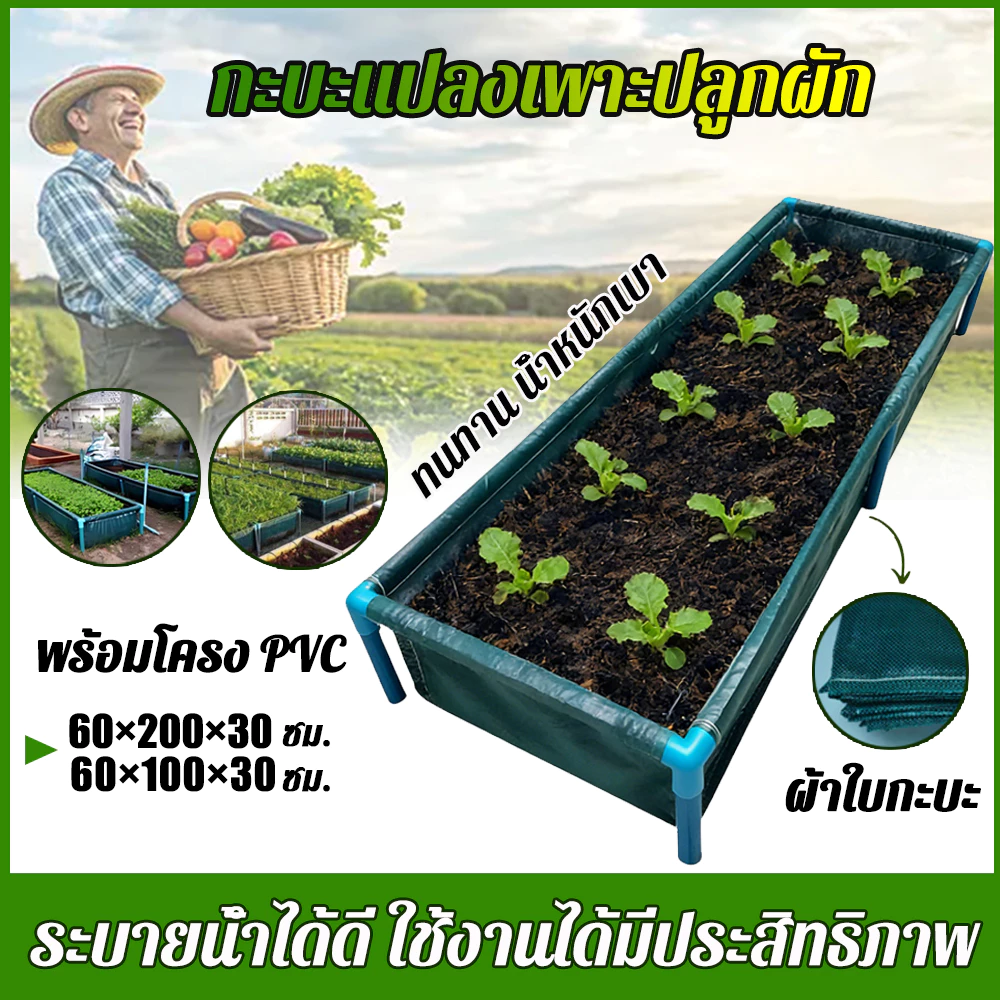 【สินค้าพร้อมส่ง】กระบะปลูกผัก ขนาด หลากหลายขนาด กะบะเพาะปลูก แปลงผักเพาะปลูก พร้อมโครง PVC