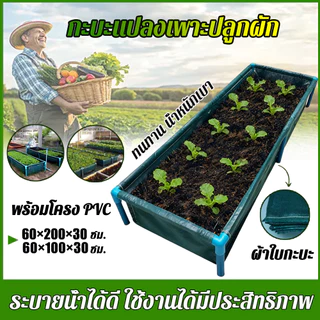 【สินค้าพร้อมส่ง】กระบะปลูกผัก​ ขนาด​ หลากหลายขนาด กะบะเพาะปลูก แปลงผักเพาะปลูก พร้อมโครง PVC