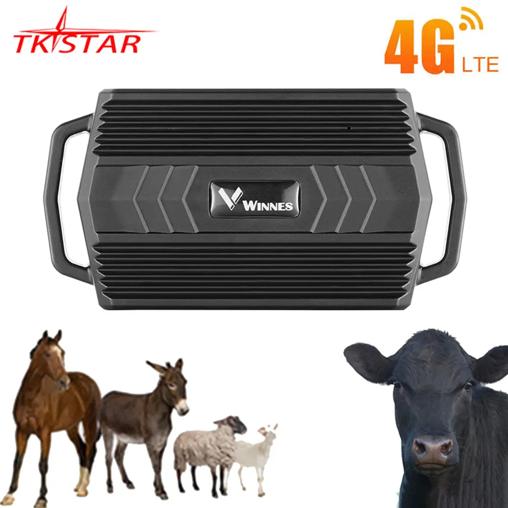 GPS Tracker สัตว์สําหรับวัวอูฐ TK935 3000mAh GPS Locator กันน้ํา GPS Tracker รถแม่เหล็กฟรีเว็บ APP P