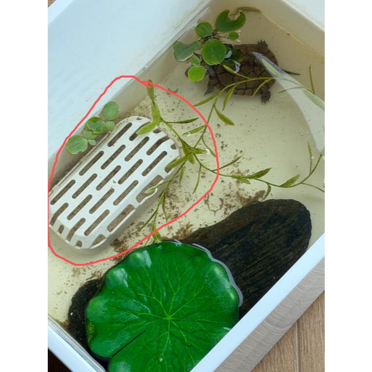 Turtle Fecess Collector Turtle Toilet ระดับน้ําต่ํา Feces Collector ตู้ปลา