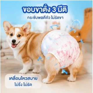 🐶ซื้อ 1 แถม 1🐱Qti สุนัขเพศผู้ สุนัขเพศเมีย XXS-XL ผ้าอ้อมน้องหมา มีหลายขนาดให้เลือก ผ้าอ้อมสุนัข เพศเมีย ผ้าอ้อมสัตว์เลี้ยง