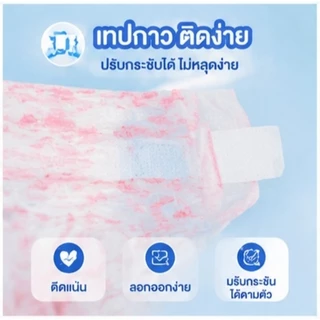 🐶ซื้อ 1 แถม 1🐱Qti สุนัขเพศผู้ สุนัขเพศเมีย XXS-XL ผ้าอ้อมน้องหมา มีหลายขนาดให้เลือก ผ้าอ้อมสุนัข เพศเมีย ผ้าอ้อมสัตว์เลี้ยง
