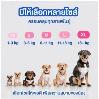 🐶ซื้อ 1 แถม 1🐱Qti สุนัขเพศผู้ สุนัขเพศเมีย XXS-XL ผ้าอ้อมน้องหมา มีหลายขนาดให้เลือก ผ้าอ้อมสุนัข เพศเมีย ผ้าอ้อมสัตว์เลี้ยง