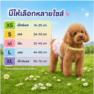 【ซื้อ 1 แถม 3】Qti ผ้าอ้อมสุนัขแบบใช้แล้วทิ้ง ชายและหญิง ชุดอุปกรณ์สําหรับสัตว์เลี้ยง 17/51/15/45/12/36/11/33 ชิ้น