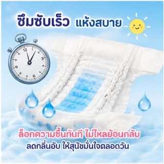 【ซื้อ 1 แถม 3】Qti ผ้าอ้อมสุนัขแบบใช้แล้วทิ้ง ชายและหญิง ชุดอุปกรณ์สําหรับสัตว์เลี้ยง 17/51/15/45/12/36/11/33 ชิ้น